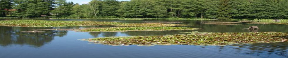 Banner profilu