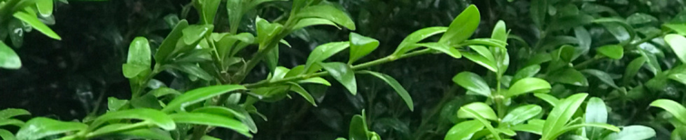 Banner profilu