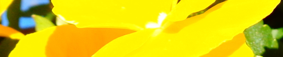 Banner profilu