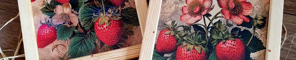 Banner profilu