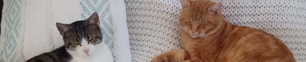 Banner profilu