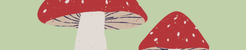 Banner profilu