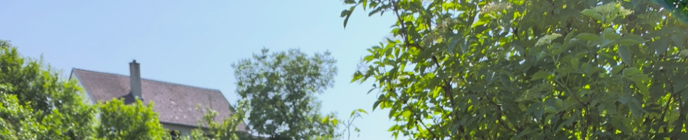 Banner profilu
