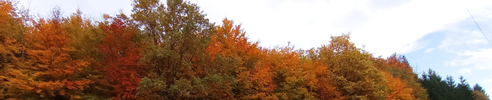 Banner profilu