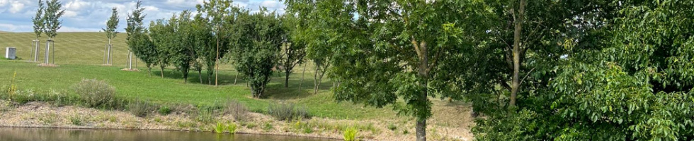 Banner profilu