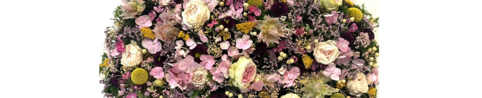 Banner profilu