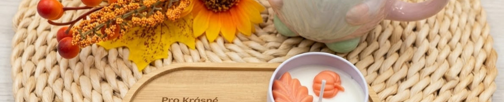 Banner profilu