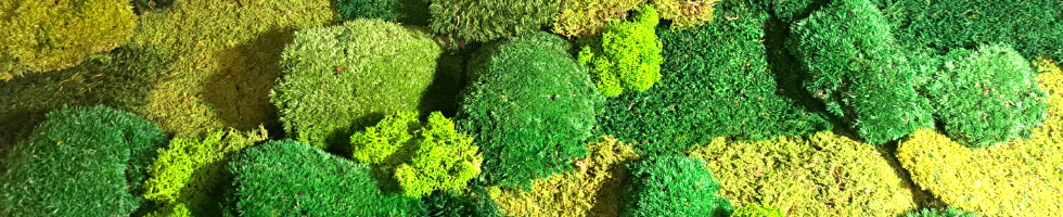 Banner profilu