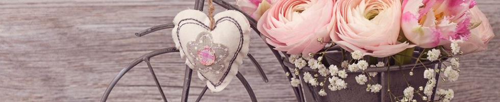 Banner profilu