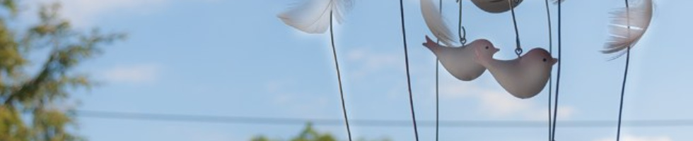 Banner profilu