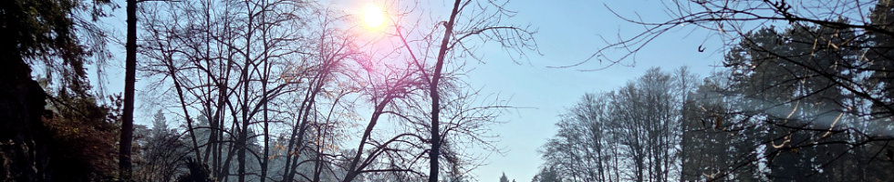 Banner profilu