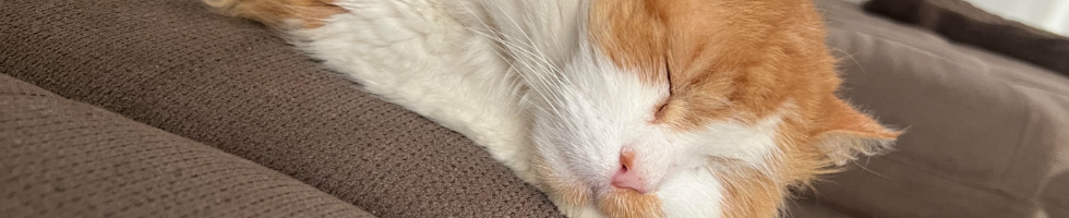 Banner profilu