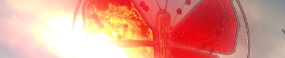 Banner profilu