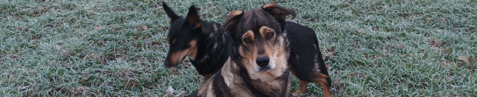 Banner profilu
