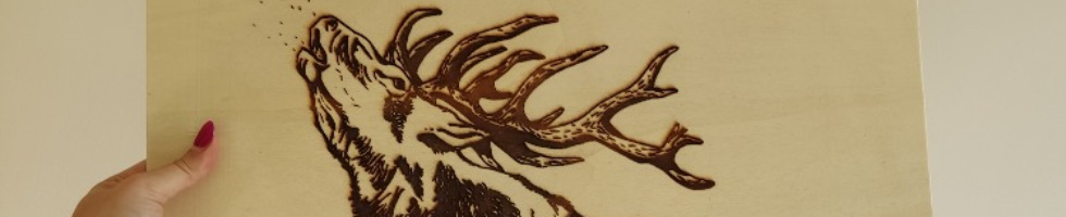 Banner profilu