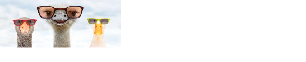 Banner profilu