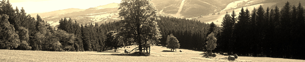Banner profilu