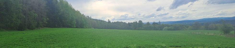 Banner profilu