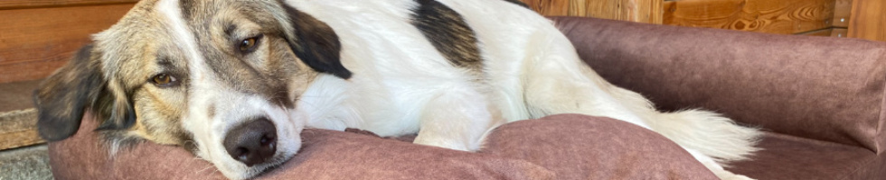 Banner profilu