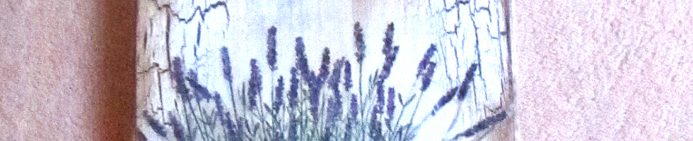 Banner profilu