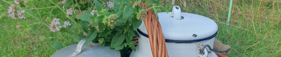 Banner profilu