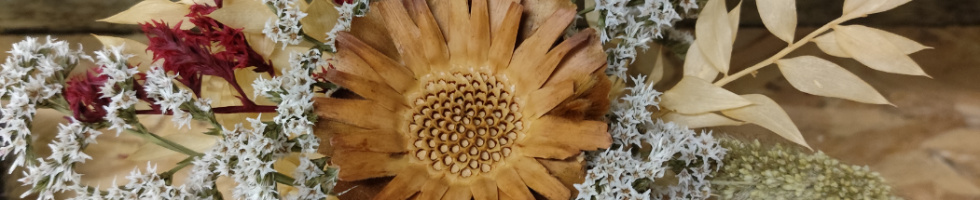 Banner profilu