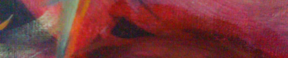 Banner profilu