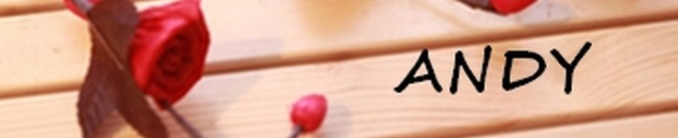 Banner profilu
