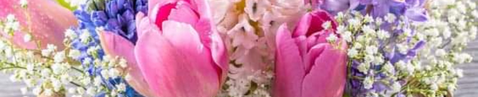 Banner profilu