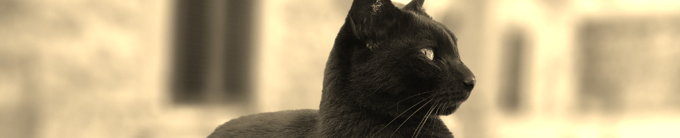 Banner profilu