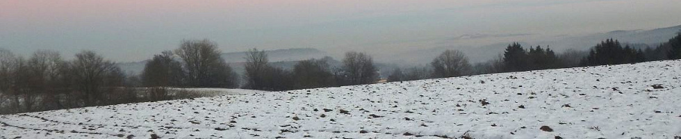 Banner profilu