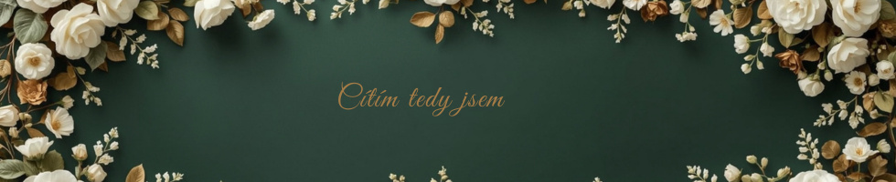Banner profilu