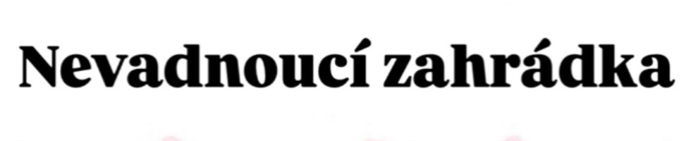 Banner profilu