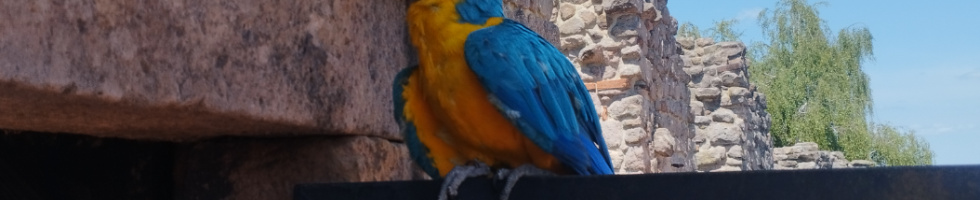 Banner profilu
