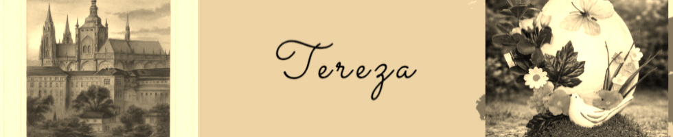 Banner profilu