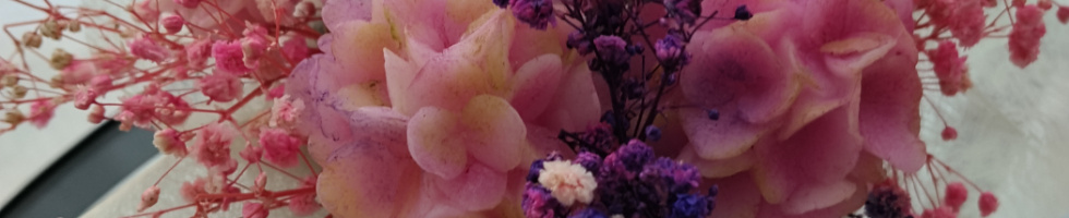 Banner profilu