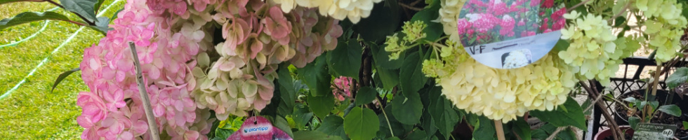 Banner profilu