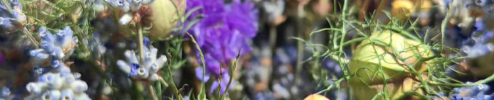 Banner profilu