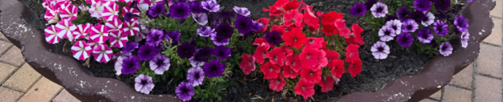 Banner profilu