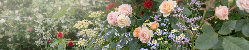 Banner profilu