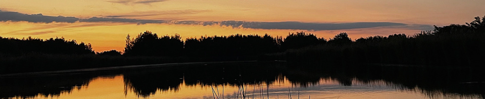 Banner profilu