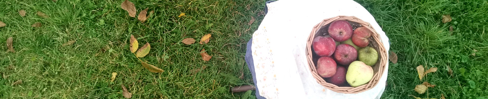 Banner profilu