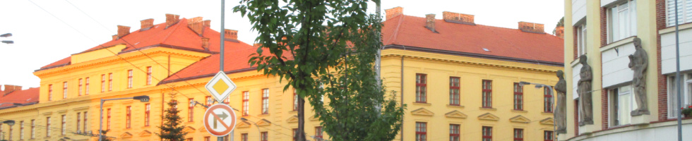 Banner profilu
