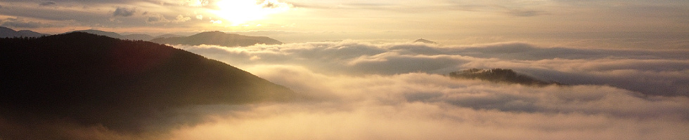 Banner profilu