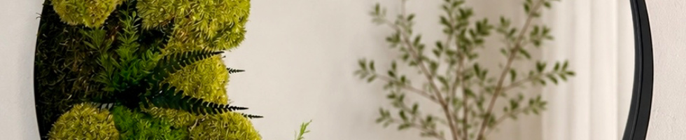 Banner profilu