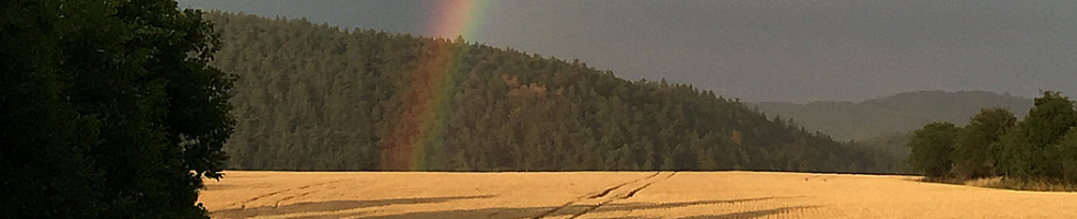 Banner profilu