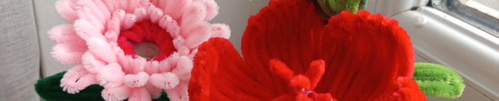 Banner profilu