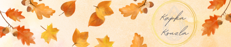 Banner profilu