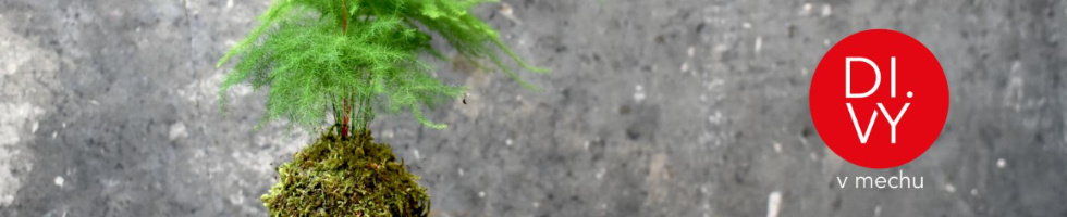 Banner profilu