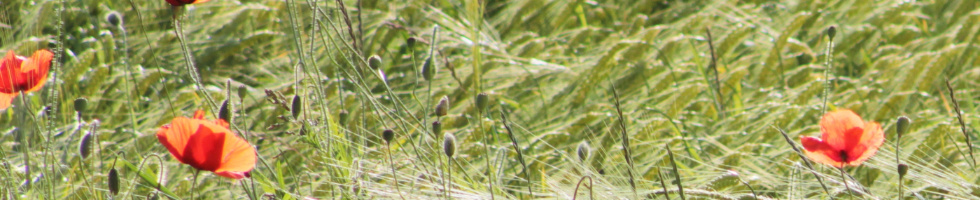 Banner profilu